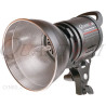Quantum QL 1000