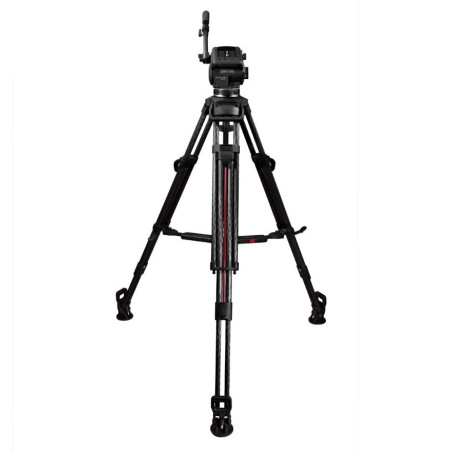 Focus 12 SDS Carbon System