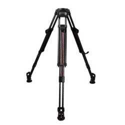 Focus 12 SDS Carbon System